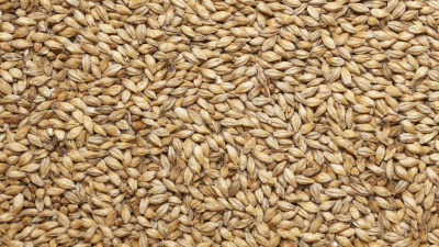 Изображение загружено обработкой